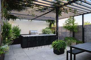 From Plan to Plate: Pro Tips for Small Kitchen Gardens from Harrison Green
