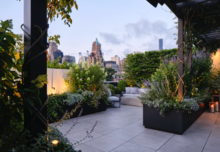 Rethinking The Rooftop