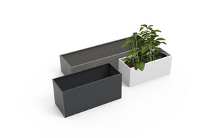 Countertop Planter