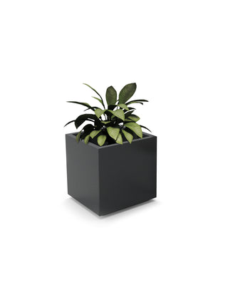 Cube Planter