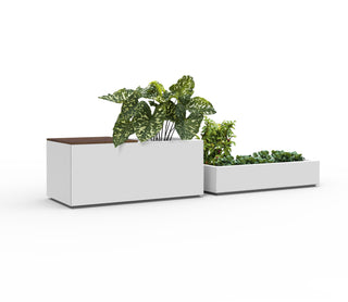 Trough Planter